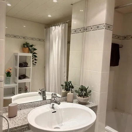 Rhein-apartment Mit Drachenfelsblick Daire